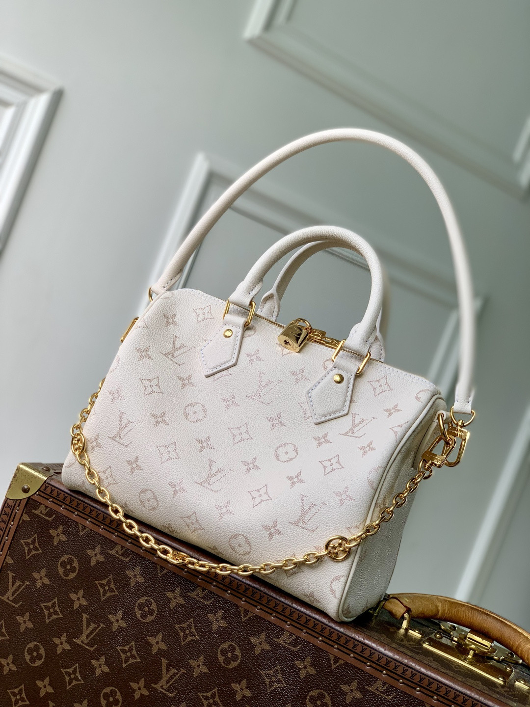 LV SPEEDY BANDOULIÈRE 25 Handbag M26690 18x13x25cm